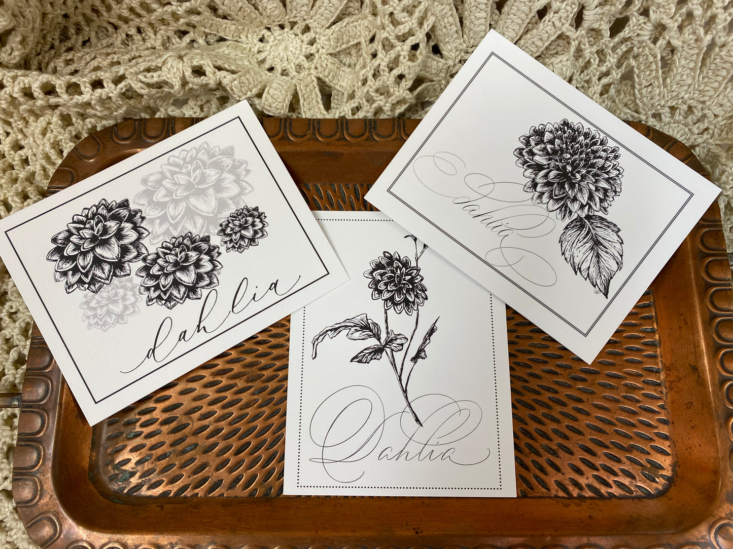 Dahlia x6